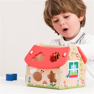 Shape sorting house